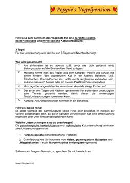 Info Kotuntersuchung_2010